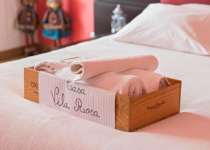 Casa Rosa منزل للإقامة Peso da Régua